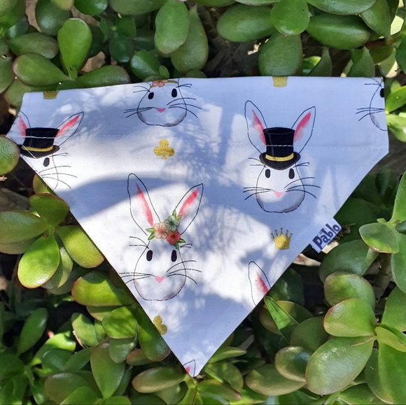 🐶 3 for $15 * Pablo Reversible Elegant Easter Bunnies Dog Collar - Picture 2 of 7